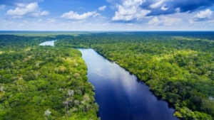 foresta-pluviale-amazzonica