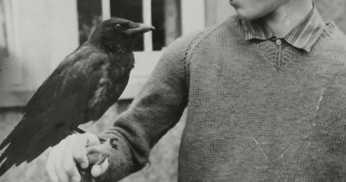 bambino e corvo
